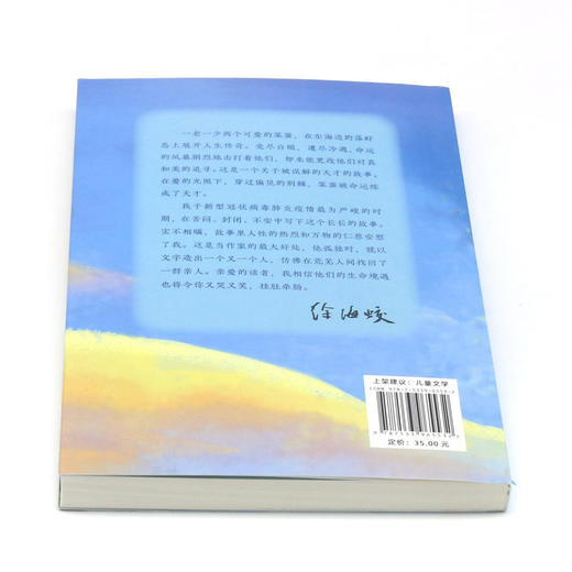 亲爱的笨蛋/新时代新成长原创儿童文学书系 商品图3