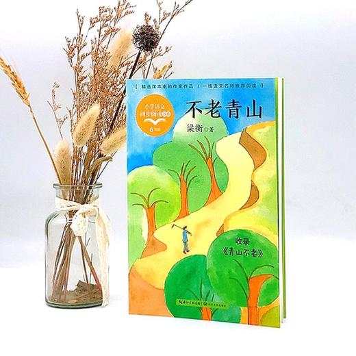 不老青山(6年级)/小学语文同步阅读书系 商品图4