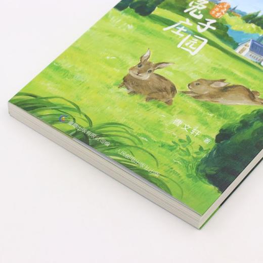 兔子庄园/曹文轩小说集 商品图2