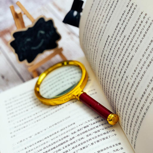 面向每一个生命的教育 特色学校聚焦丛书 园长用书 幼儿园管理 特色幼儿园办学 商品图10