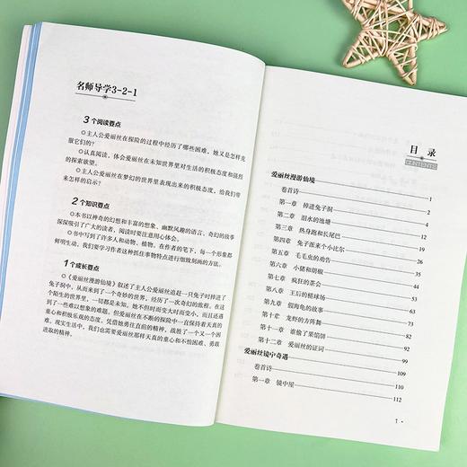 (仓发) 爱丽丝漫游仙境 又名爱丽丝漫游奇境 快乐读书吧六年级下册推荐阅读 无障碍阅读 小学生课外推荐阅读书目 有习题/南方出版社/[英]刘易斯·卡罗尔/9787550169388 商品图8