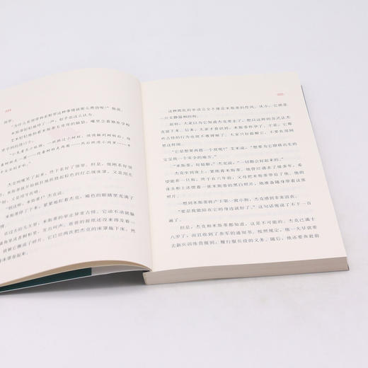狗狗的胜利/世界新经典动物小说馆 商品图4