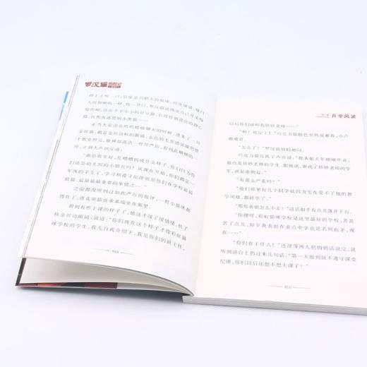 罗汉猫历险记(1展翅高飞) 商品图4