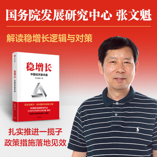 稳增长 中国经济基本盘 稳增长的政策逻辑与对策 张文魁 著 扎实推进稳经济一揽子政策落地见效 读懂稳增长 把握政策红利 商品图0