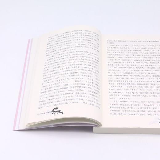 三国演义/少年版中国经典 商品图4