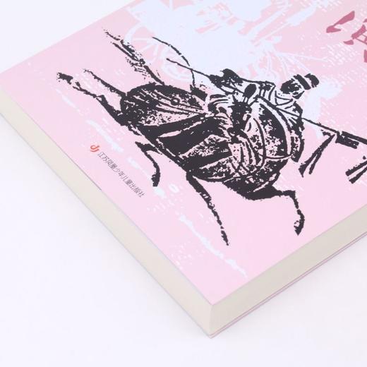 三国演义/少年版中国经典 商品图2