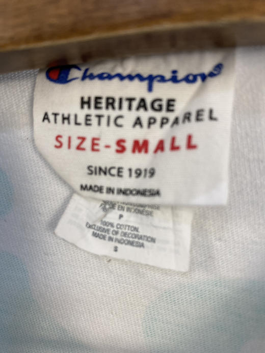 Champion 冠军 美版 短袖T恤 _SST(S) 商品图2