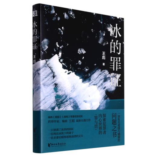 冰的罪证 商品图0