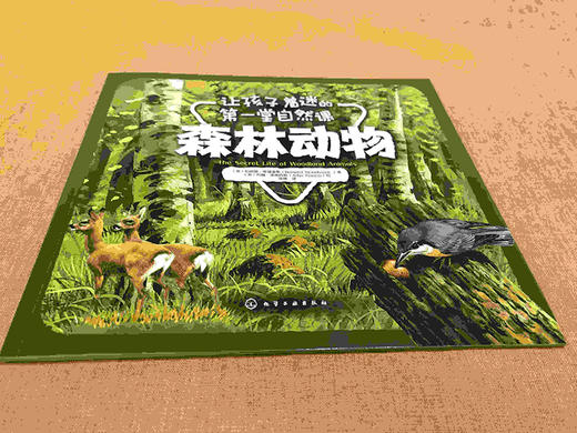 (仓发) 让孩子着迷的第一堂自然课——森林动物/化学工业出版社有限公司/[英]伯纳德·斯通豪斯（Bernard,Stonehouse）/9787122335258 商品图1