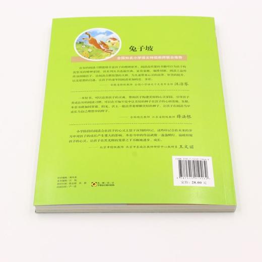 兔子坡(美绘彩图版名师教你读经典)/小学语文课外阅读经典丛书 商品图3
