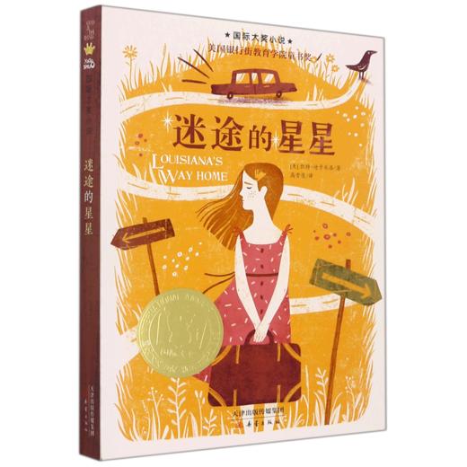 迷途的星星/国际大奖小说 商品图0