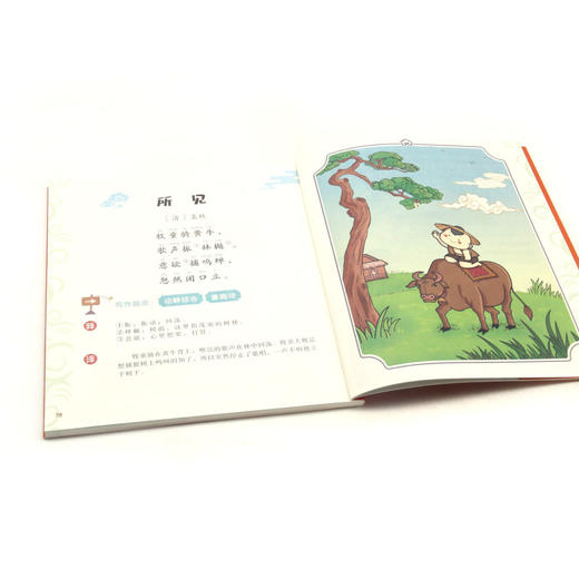 日记名篇/爆笑秒懂古诗词 商品图3