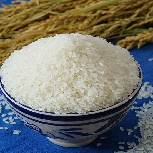 天野园·稻花香 5kg 新米 舒兰平安镇 稻花香2号 东北大米 真空包装 商品图2