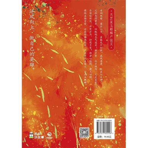 凯叔水浒传(第10册英雄大聚义) 商品图2