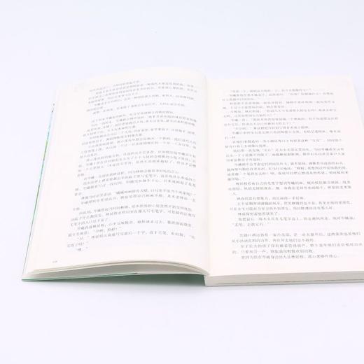 喜欢两个人 商品图4