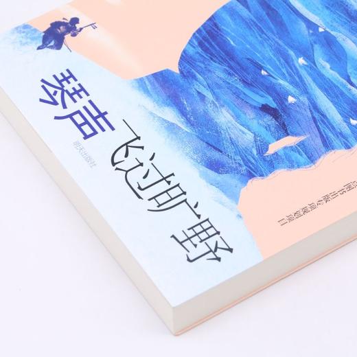琴声飞过旷野 商品图2