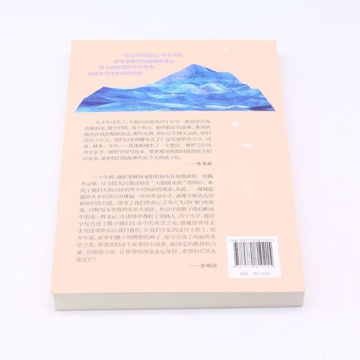 琴声飞过旷野 商品图3