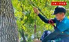 【户外探索】半日营-攀树课程｜做树上小精灵，看不一样的世界 商品缩略图0