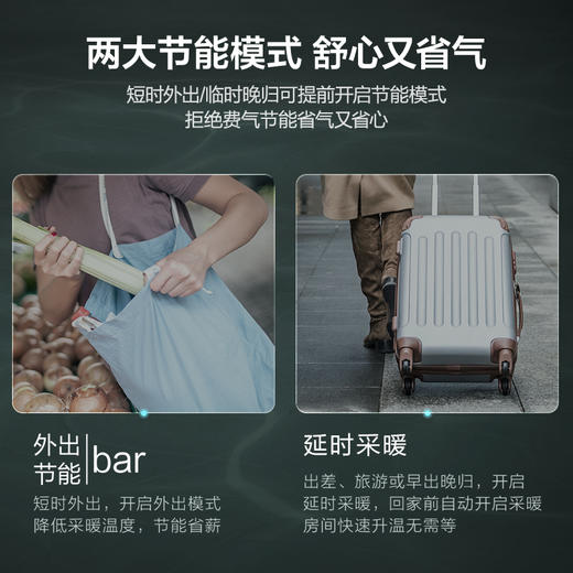 海尔变频一级能效冷凝燃气壁挂炉天然气采暖炉热水器板换式地暖暖气片五点恒温LL1PBD26-JN7(T)U1 商品图4