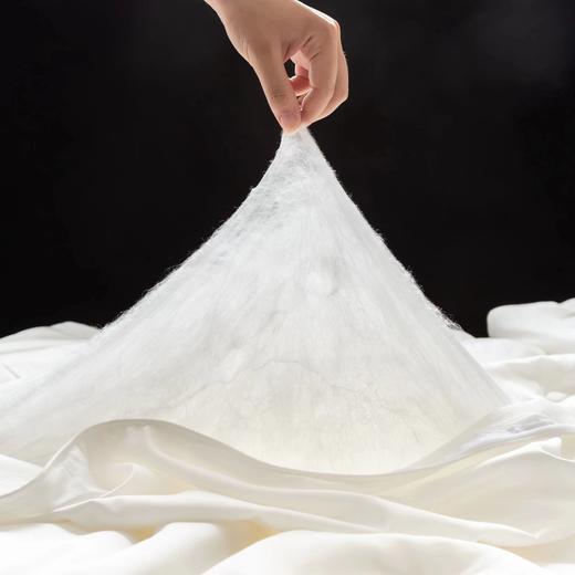 蚕丝被芯 1500g/3斤 商品图2