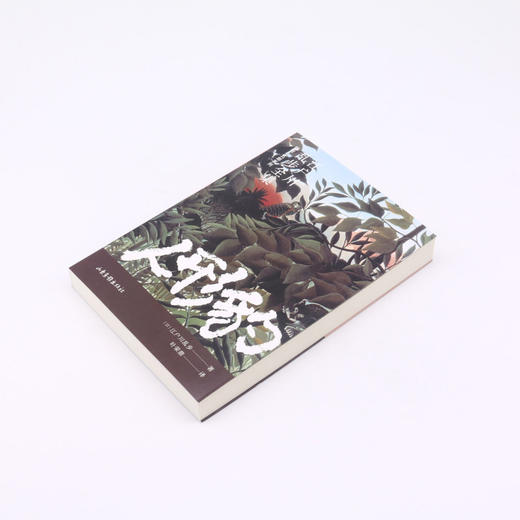 人形豹/明智小五郎系列/江户川乱步全集 商品图2