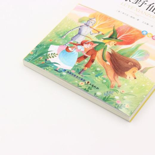绿野仙踪(美绘彩图版名师教你读经典)/小学语文课外阅读经典丛书 商品图2