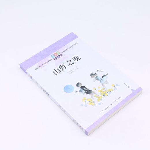 山野之魂/百年百篇中国儿童文学经典文丛 商品图1