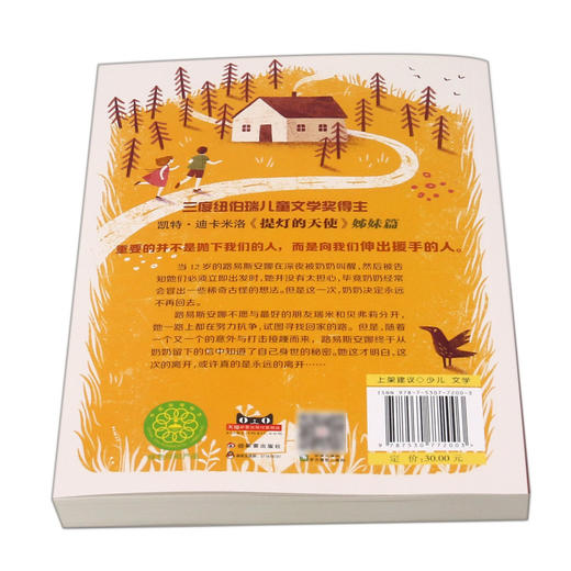 迷途的星星/国际大奖小说 商品图3