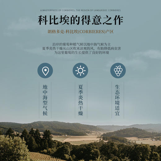 【科比埃AOP】卡尔夫人系列窖藏干红葡萄酒 法国进口 15%vol 商品图2