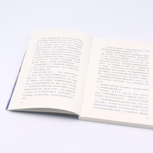 白猫传奇(升级版)/中外动物小说精品 商品图4