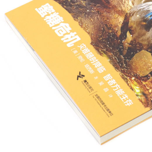 蜜糖危机/灾难求生 商品图2