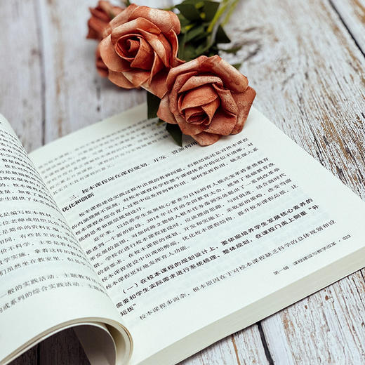 素养时代的教师专业成长 大夏书系 教师专业发展 卓越教师 汪瑞林 商品图7