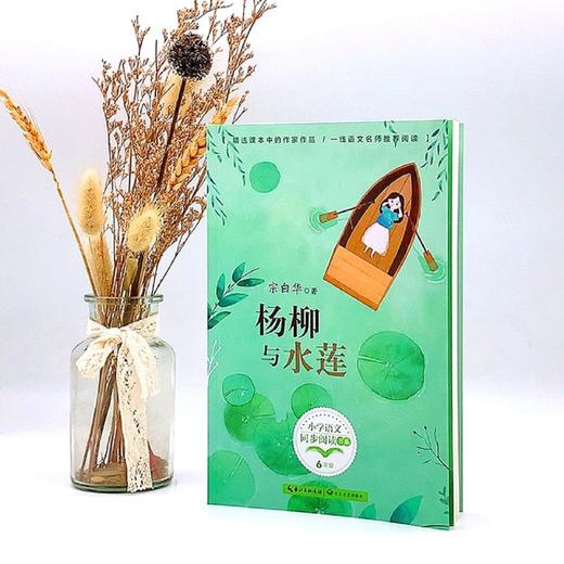 杨柳与水莲(6年级)/小学语文同步阅读书系 商品图4