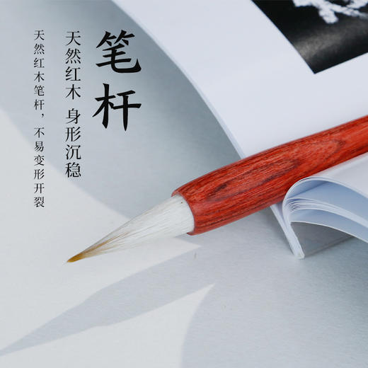 【庆学堂】莲池 兼毫毛笔 书法专用笔 书法套装专供 商品图4