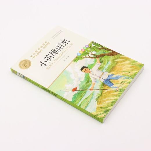 小英雄雨来(美绘彩图版名师教你读经典)/小学语文课外阅读经典丛书 商品图1