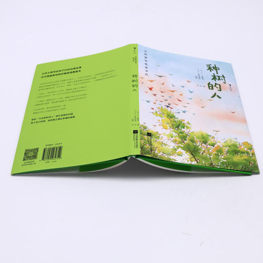 种树的人(精)/大作家写给孩子们 商品图3