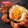 蟹状元大闸蟹 3698型 雄蟹5.5两+雌蟹4.0两 5对【包邮直发】 商品缩略图3