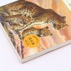 残豹赞歌(升级版)/中外动物小说精品 商品缩略图2