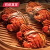 蟹状元大闸蟹 3698型 雄蟹5.5两+雌蟹4.0两 5对【包邮直发】 商品缩略图4