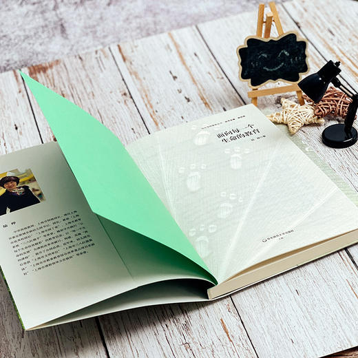 面向每一个生命的教育 特色学校聚焦丛书 园长用书 幼儿园管理 特色幼儿园办学 商品图6