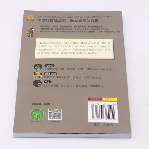 城堡里的男巫师/史蒂夫和爱丽克丝大冒险/我的世界 商品图2