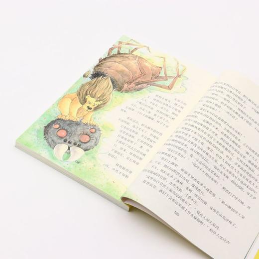 绿野仙踪(美绘彩图版名师教你读经典)/小学语文课外阅读经典丛书 商品图4