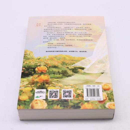 败给温柔(共2册) 商品图3