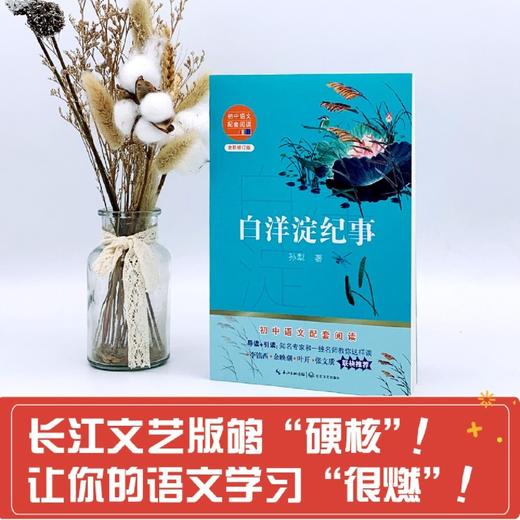 白洋淀纪事(全新修订版)/初中语文配套阅读 商品图4