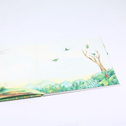 绿孔雀(我的家在哪里)(精) 商品图4
