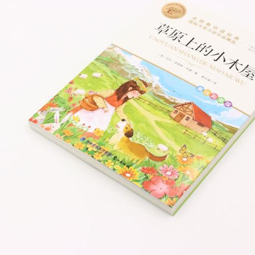 草原上的小木屋(美绘彩图版名师教你读经典)/小学语文课外阅读经典丛书 商品图2