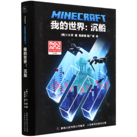 我的世界--沉船(精)