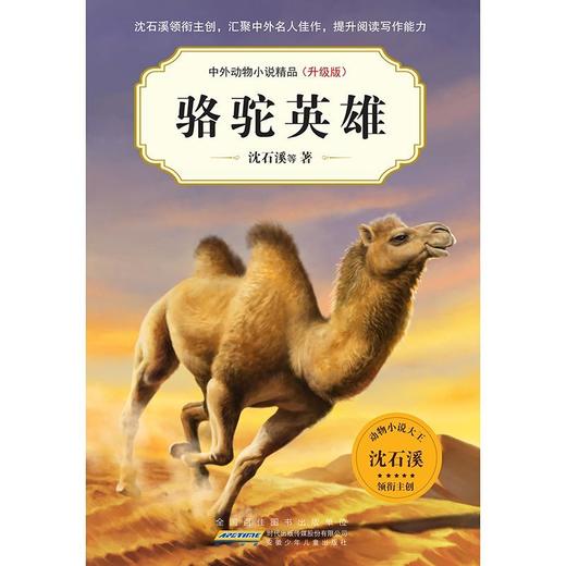 骆驼英雄(升级版)/中外动物小说精品 商品图1