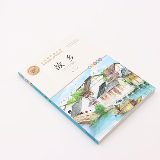 故乡(美绘彩图版名师教你读经典)/小学语文课外阅读经典丛书 商品图1