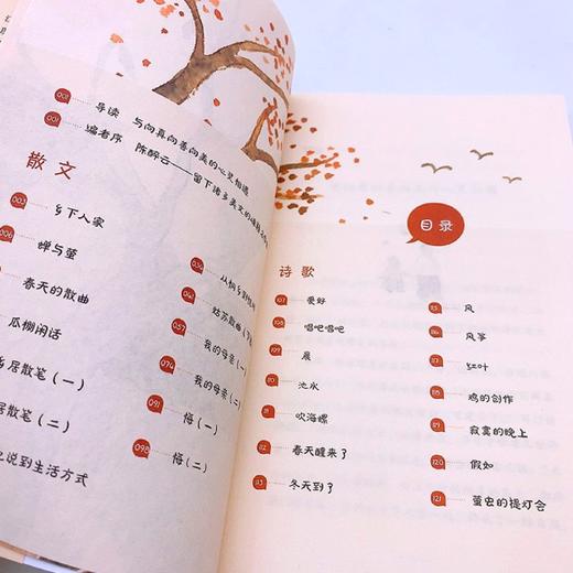 乡下人家(4年级)/小学语文同步阅读书系 商品图2